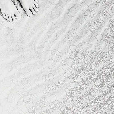 silver sand crest